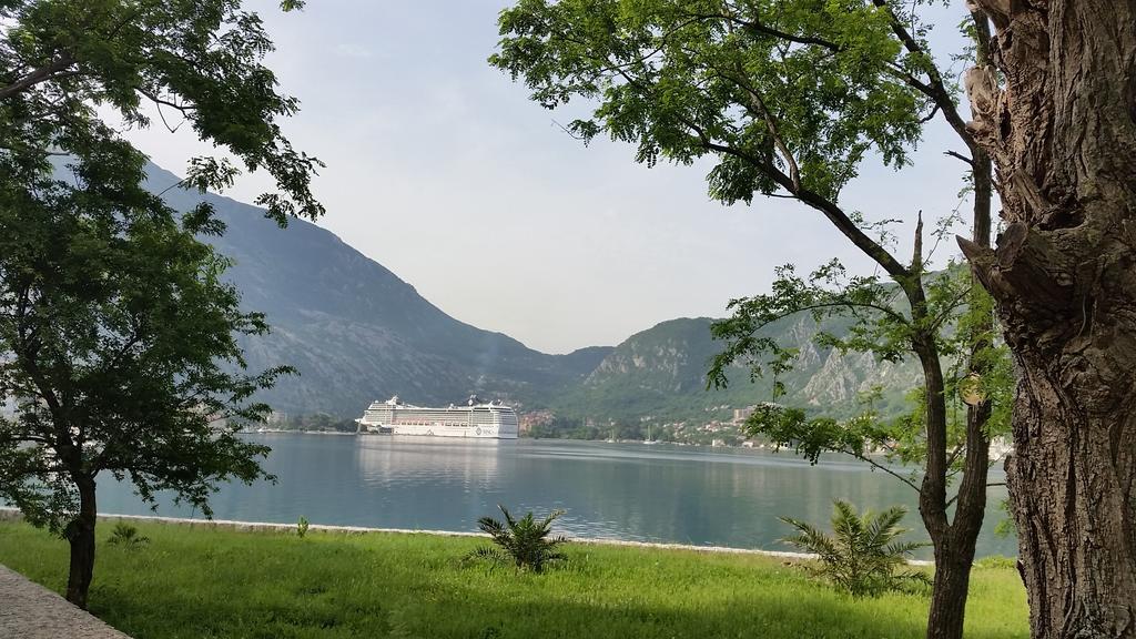 Fiumera Kotor Apartment Cameră foto
